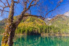 Jiuzhaigou Valley Scenic And Historic Interest Area Royalty Free Stock Image Jiuzhaigou Valley Scenic And Historic Interest Area Royalty Free Stock Image