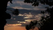 Pine And Sunset Royalty Free Stock Photo Pine And Sunset Royalty Free Stock Photo