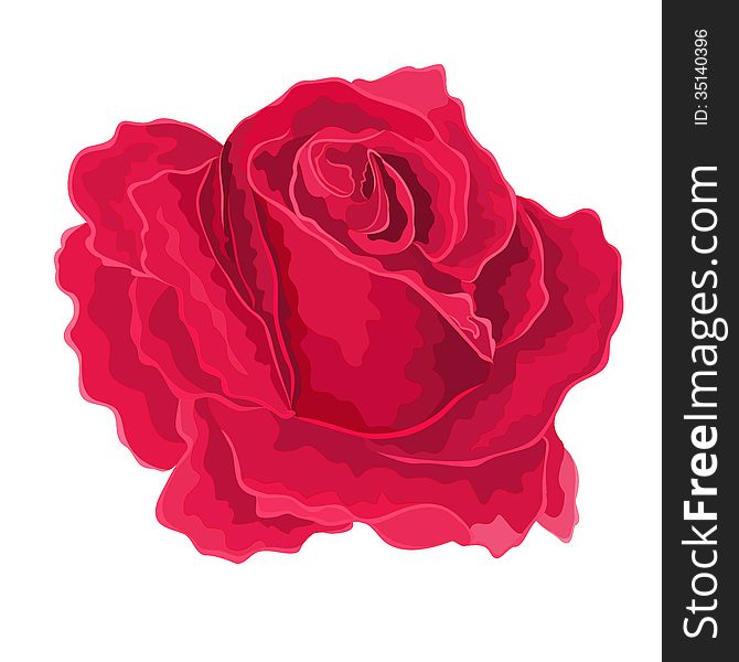 Roses red flower decorative simple. Roses red flower decorative simple