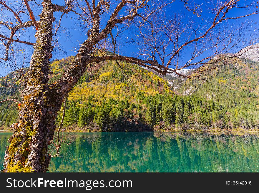 Jiuzhaigou Valley Scenic and Historic Interest Area, Sichuan, China