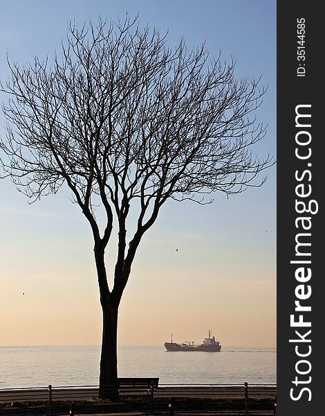 Ship and tree at Marmara Sea Istanbul