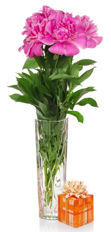 Flowers In A Vase Stock Images Flowers In A Vase Stock Images