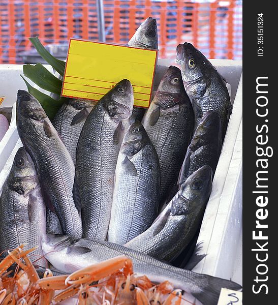 Seabass fish in shop on the counter. Seabass fish in shop on the counter