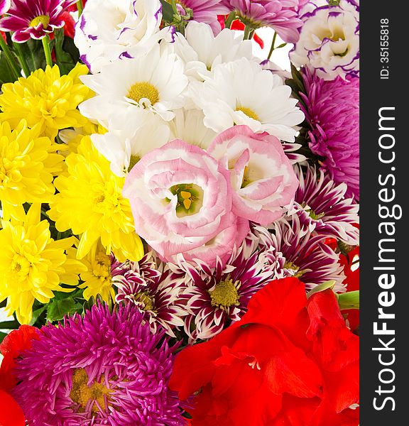 Bright flowers. Background. See my other works in portfolio.