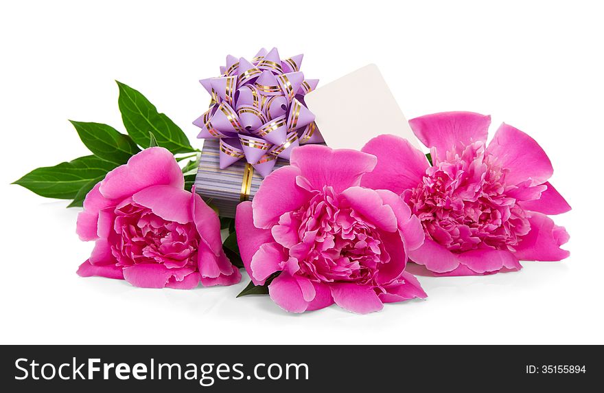 Pink peonies, the gift box decorated with a ribbon, and the empty card, isolated on white. Pink peonies, the gift box decorated with a ribbon, and the empty card, isolated on white