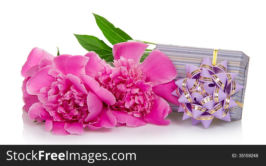 Beautiful pink peonies and the striped gift box, isolated on white