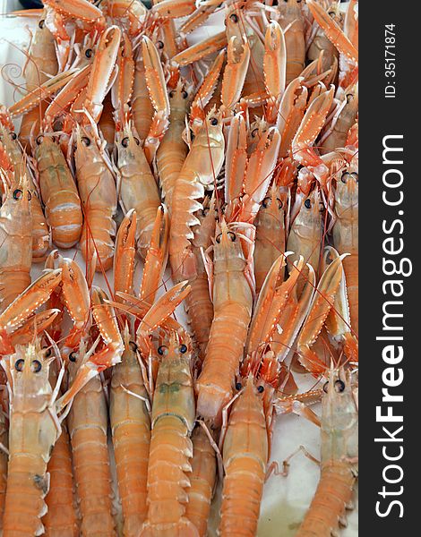 Background of fresh scampi for sale at a market