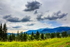 Forest On A Steep Mountain Royalty Free Stock Photos Forest On A Steep Mountain Royalty Free Stock Photos