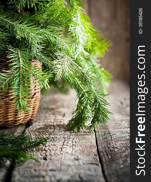 Green Branches of Fir in a Basket on wooden table