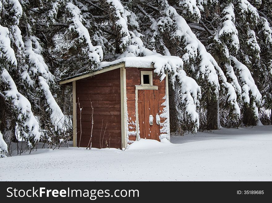 An outhouse in front of snow heavy trees. An outhouse in front of snow heavy trees