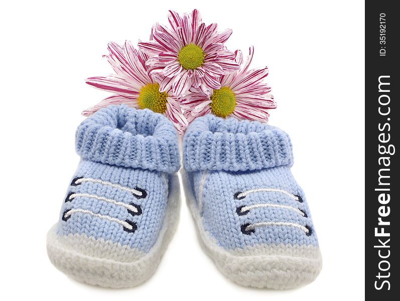 Blue boys isolated shoes with daisy flowers isolated. Blue boys isolated shoes with daisy flowers isolated