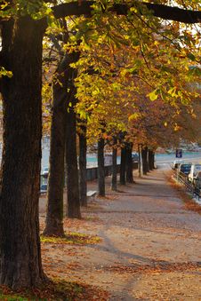 Autumn In Town Royalty Free Stock Image