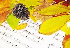Autumn Melody Royalty Free Stock Photos Autumn Melody Royalty Free Stock Photos