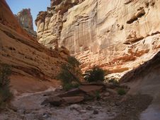 Free Crack Canyon Stock Photos - 3524553