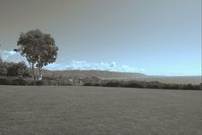 The Simple Life Royalty Free Stock Images The Simple Life Royalty Free Stock Images