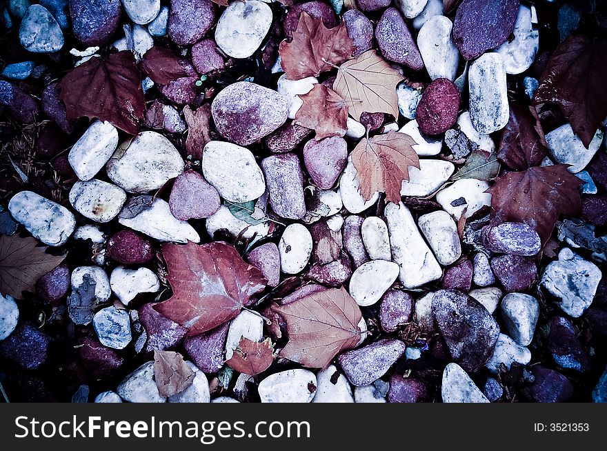 Cold toned close-up of leaf and pebble-scattered ground. Cold toned close-up of leaf and pebble-scattered ground.