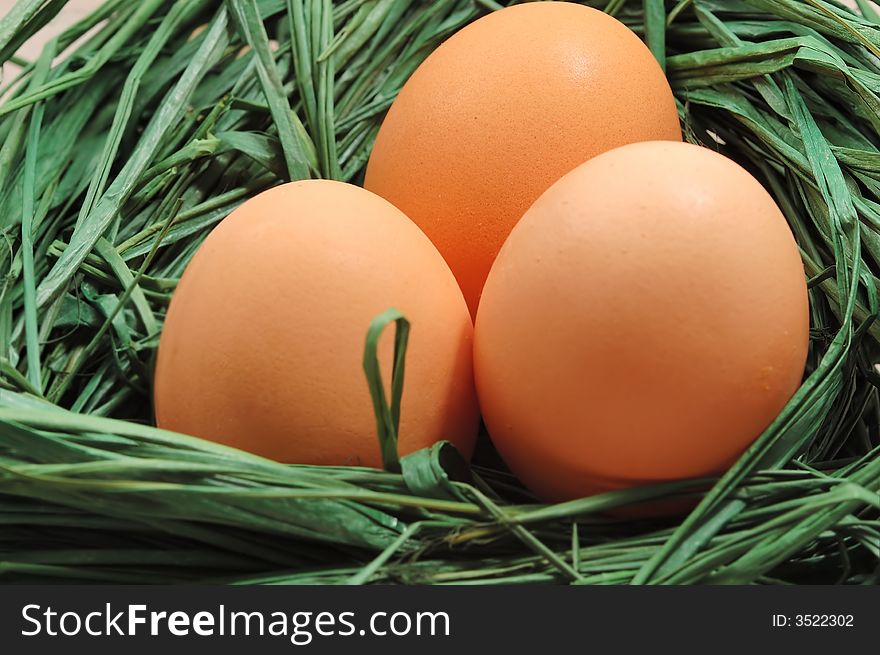 Nest with eggs for easter