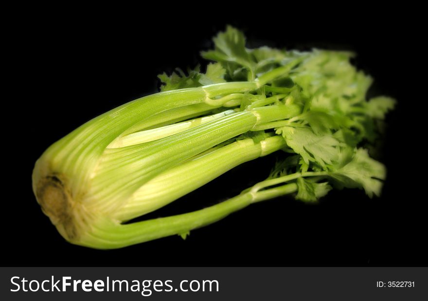 Green celery on black background