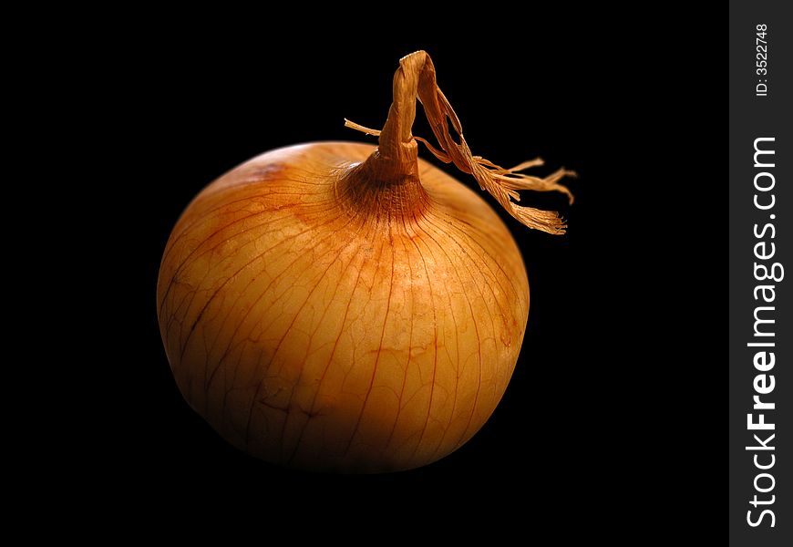 Single onion close up on black background. Single onion close up on black background