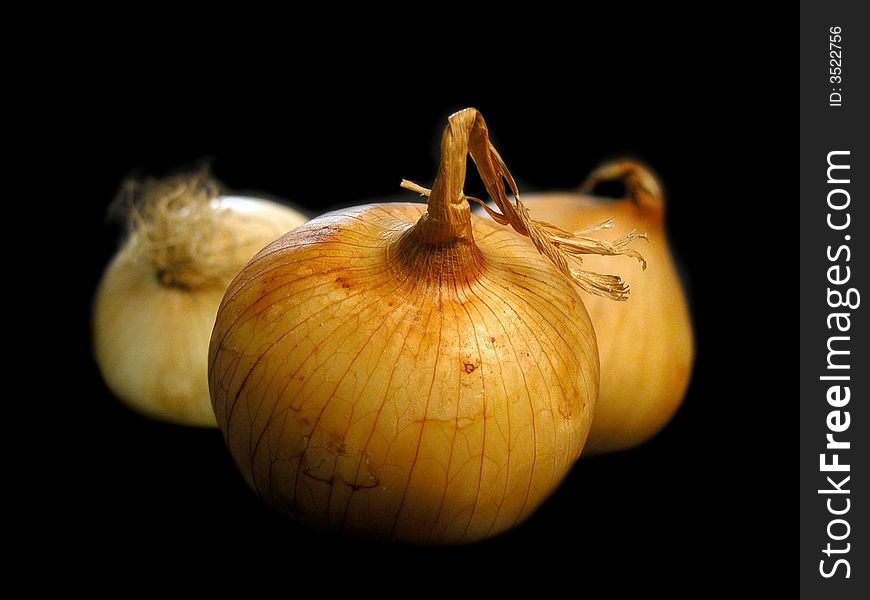 Single onion close up on black background. Single onion close up on black background