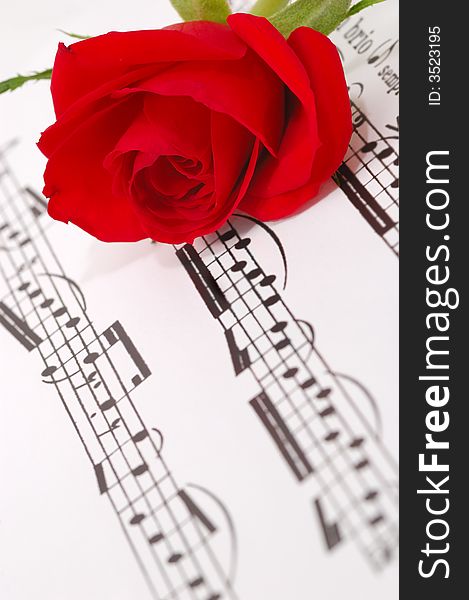 Red silky rose with musical notes
