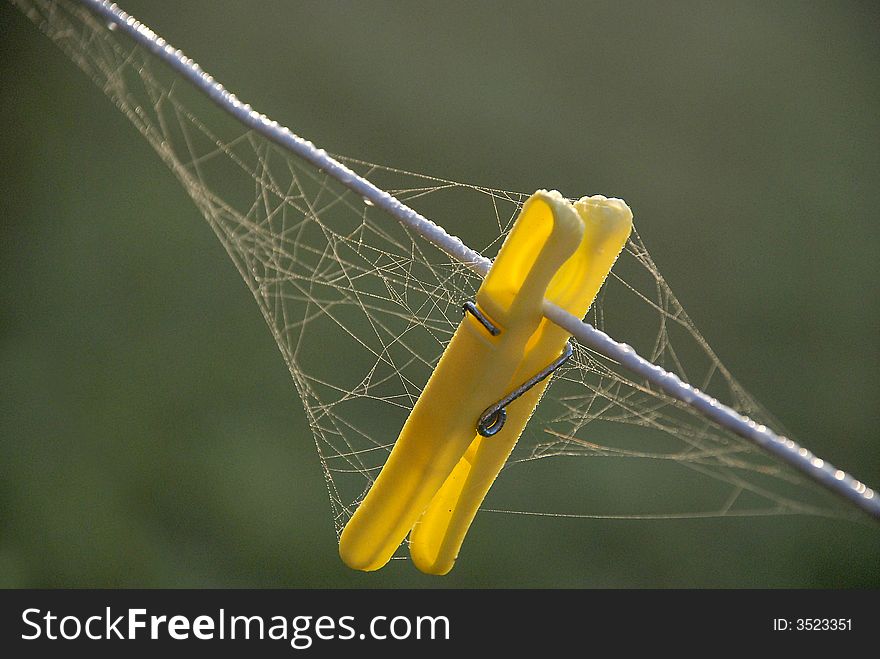 A peg left on the line on an autumn night found covered with a frosty cobweb. A peg left on the line on an autumn night found covered with a frosty cobweb