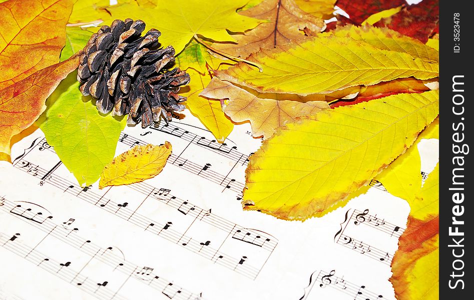 Romantic autumn composition from leaves and musical page. Romantic autumn composition from leaves and musical page