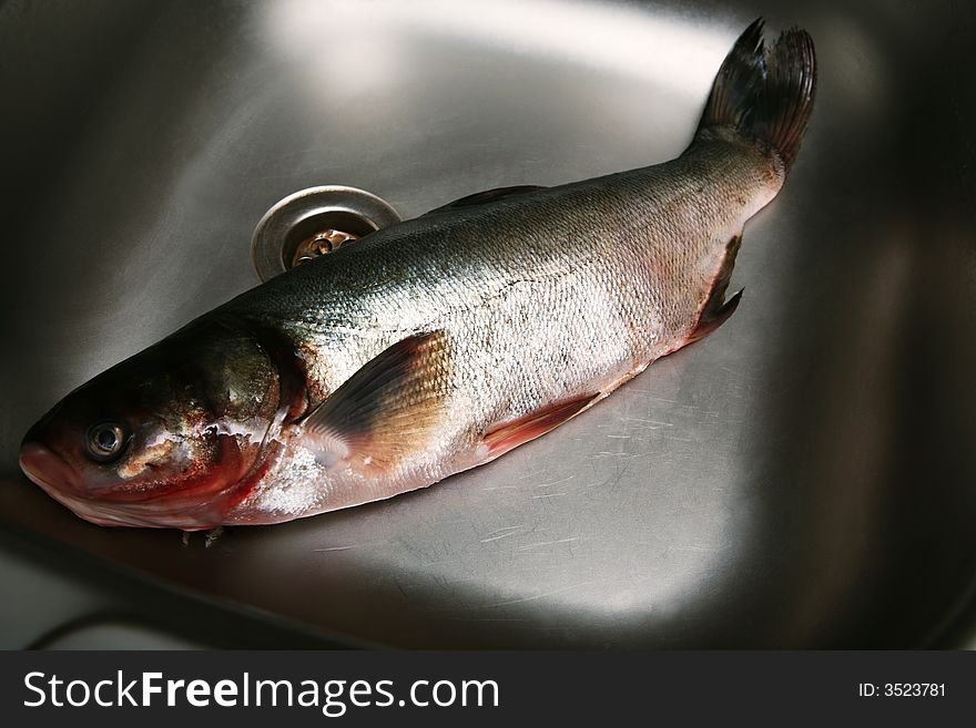 Fresh fish in a metal sink on kitchen