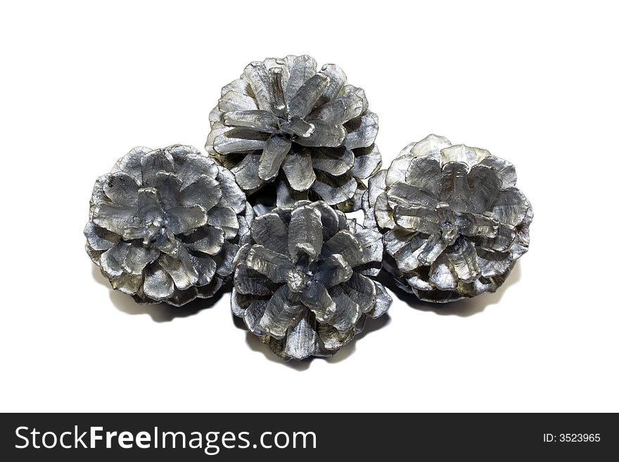 Four pine cone isolated