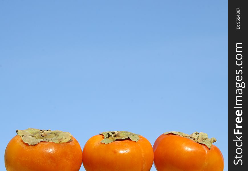 Three persimmons, sunny day, blue sky. Three persimmons, sunny day, blue sky