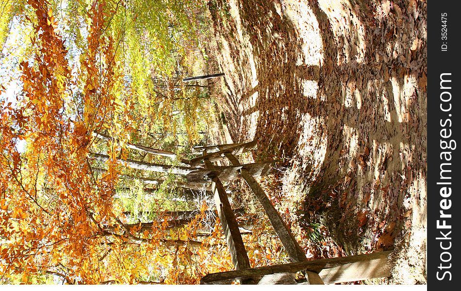 Walking path in Brown county Indiana in the fall. Walking path in Brown county Indiana in the fall.