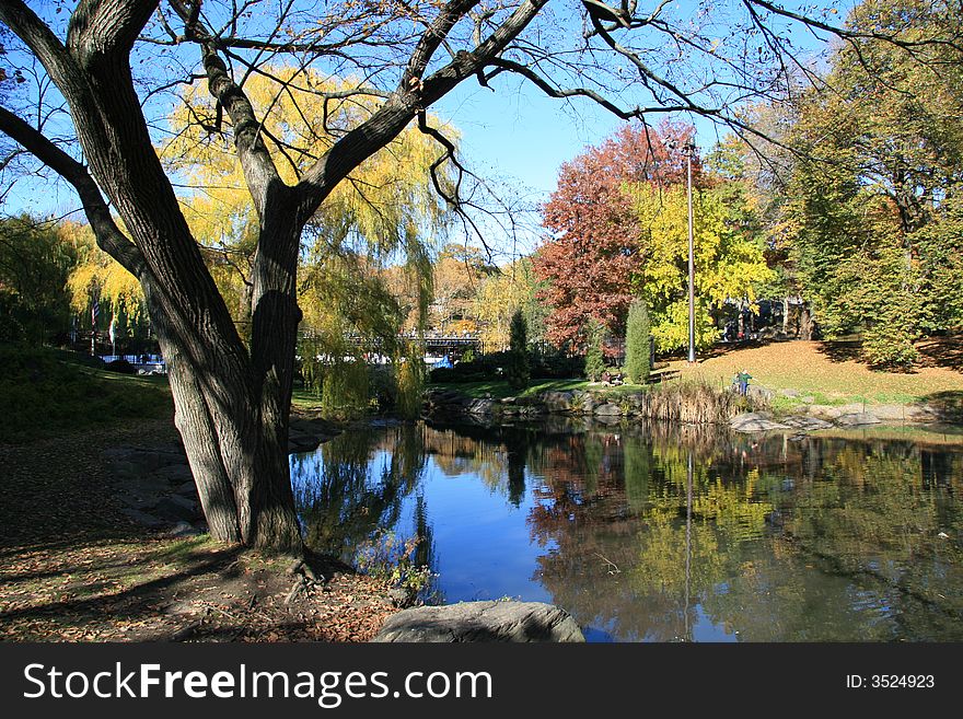 Central Park near Wollman Rink in the fall. Central Park near Wollman Rink in the fall.