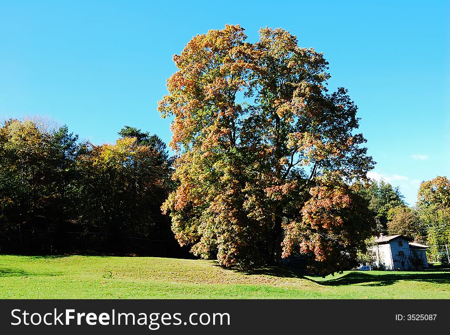 Fall Landscape