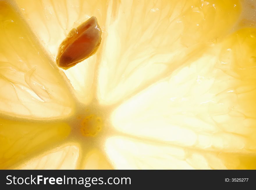 Lemon slice with a seed