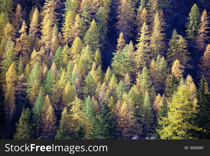 Changing colors in the Alps during early Fall; Italy. Changing colors in the Alps during early Fall; Italy.