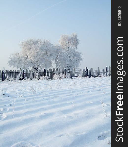 Rimed trees and fense in JiLin City, northeast of China