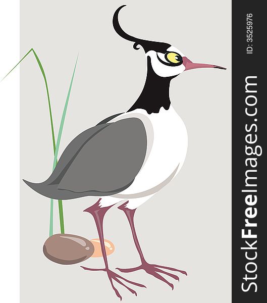 Illustration of a bird with quill crown standing near plant