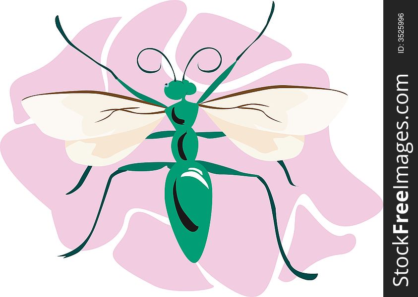 Illustration of a green body coloured bee on a pink surface. Illustration of a green body coloured bee on a pink surface