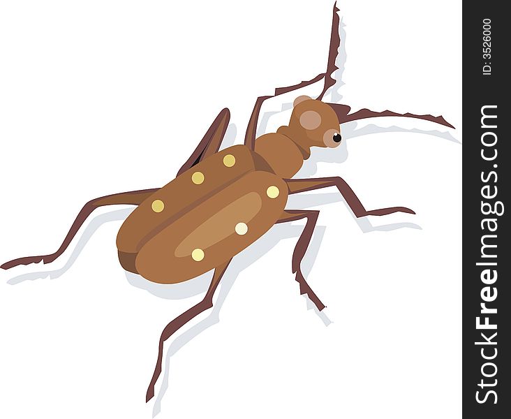 Illustration of a colourful bug moving on a surface. Illustration of a colourful bug moving on a surface