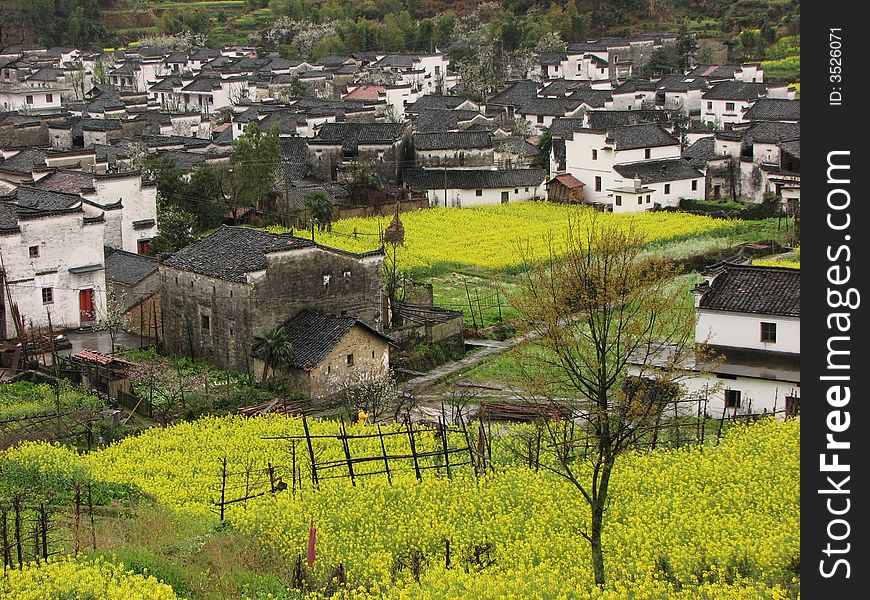 Spring season in a chinese village. Spring season in a chinese village