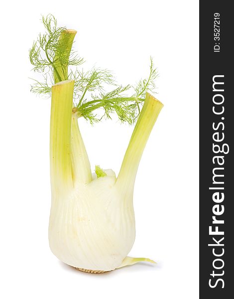 Image series of fresh vegetables on white background - fennel