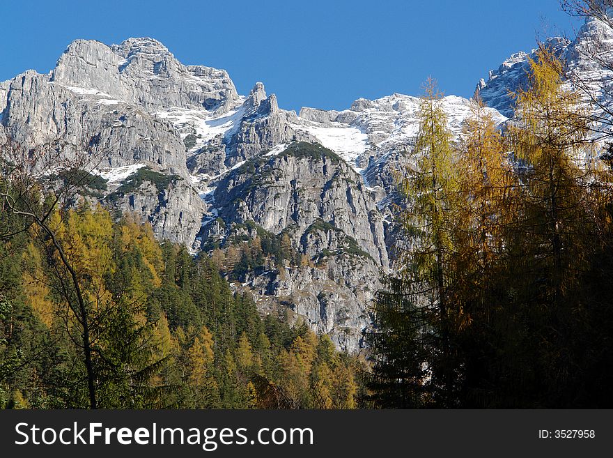 Sky , Rocks , Snow and Mountains. Alps,Loferer Steinberge ,Austria ,Tirol, Waidring not so far from Salzburg . Autumn Trees on the background of Rocks and snow . Sky , Rocks , Snow and Mountains. Alps,Loferer Steinberge ,Austria ,Tirol, Waidring not so far from Salzburg . Autumn Trees on the background of Rocks and snow .