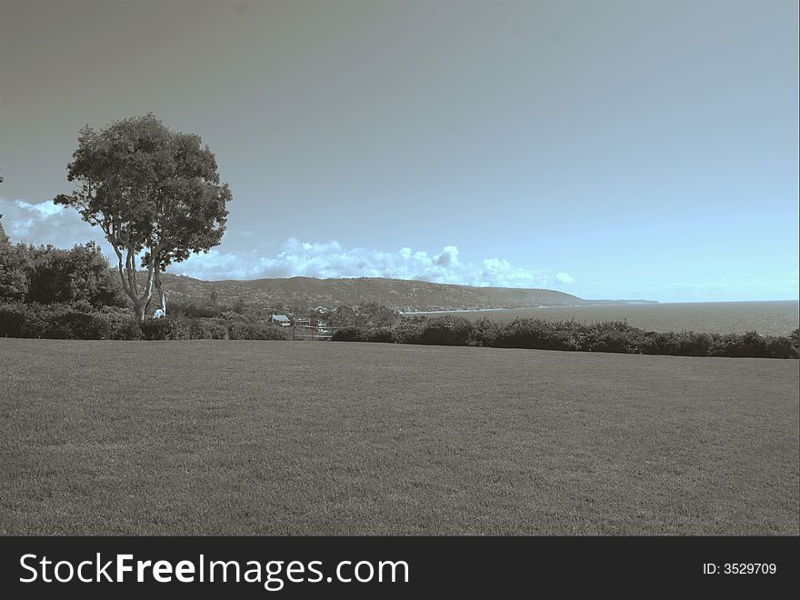 This image was taken on the north coast of Laguna Beach. This image was taken on the north coast of Laguna Beach.