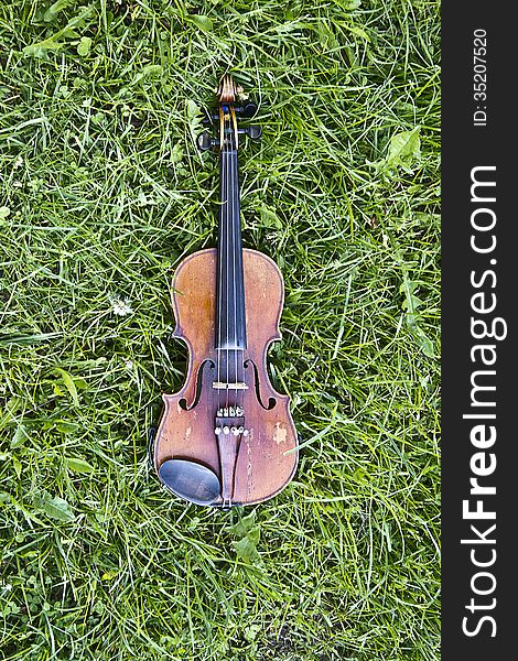Outdoor shot of a violin on the grass. Daylight.