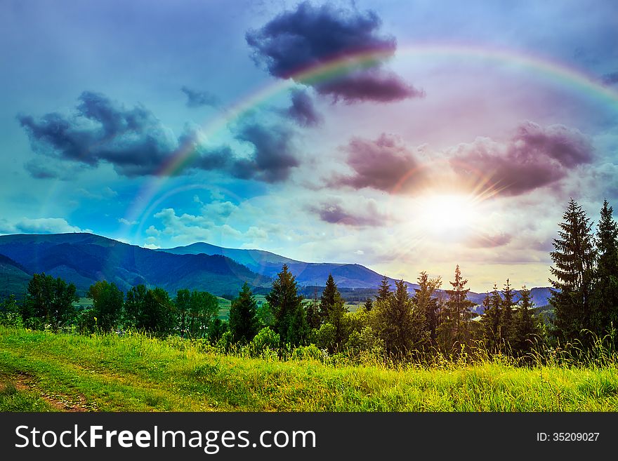 Valley near forest on a steep mountain slope after the rain in evening mood