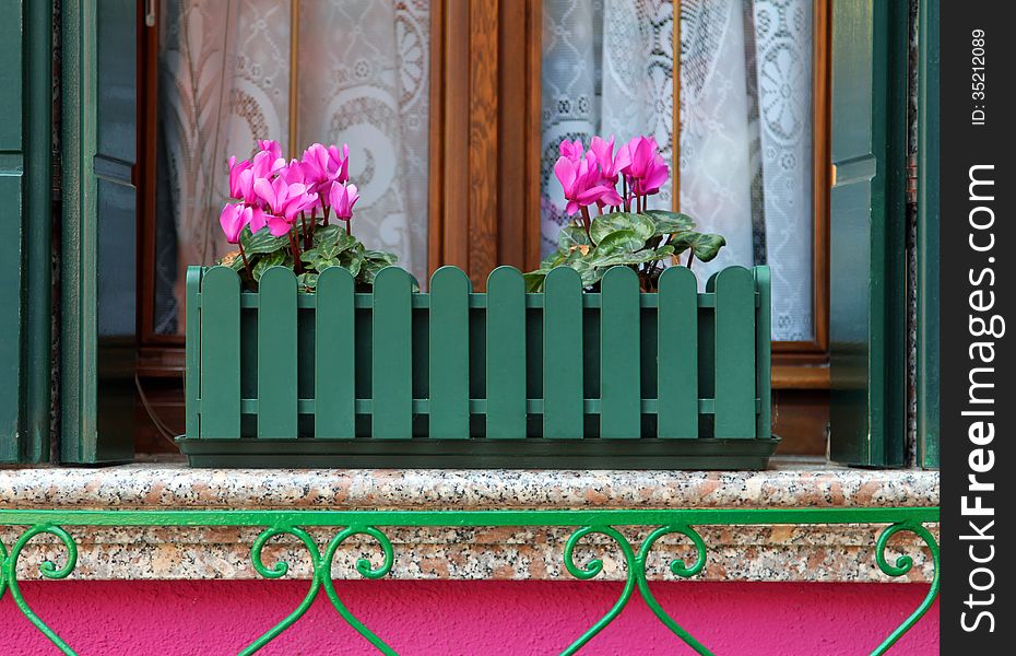 Pink flowers on the windowsill