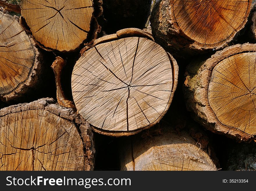 Close up of logs of wood. Close up of logs of wood