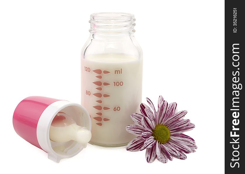 Open milk bottle with daisy flower isolated. Open milk bottle with daisy flower isolated