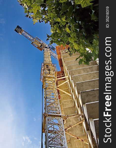 Construction of a new skyscraper, tall crane and green tree. Construction of a new skyscraper, tall crane and green tree