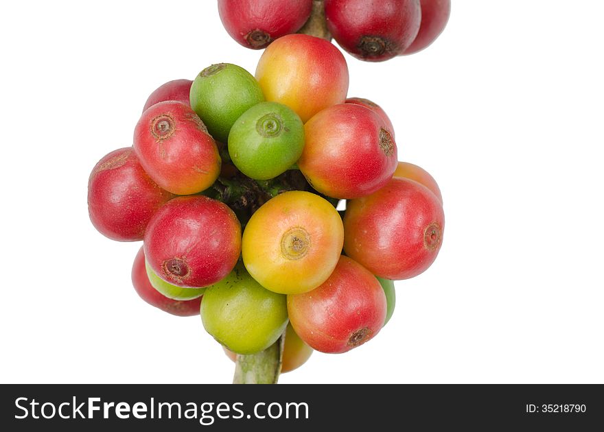 Coffee beans isolated on white background